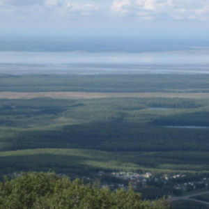 Meet your Posher, Catherine mcmillan